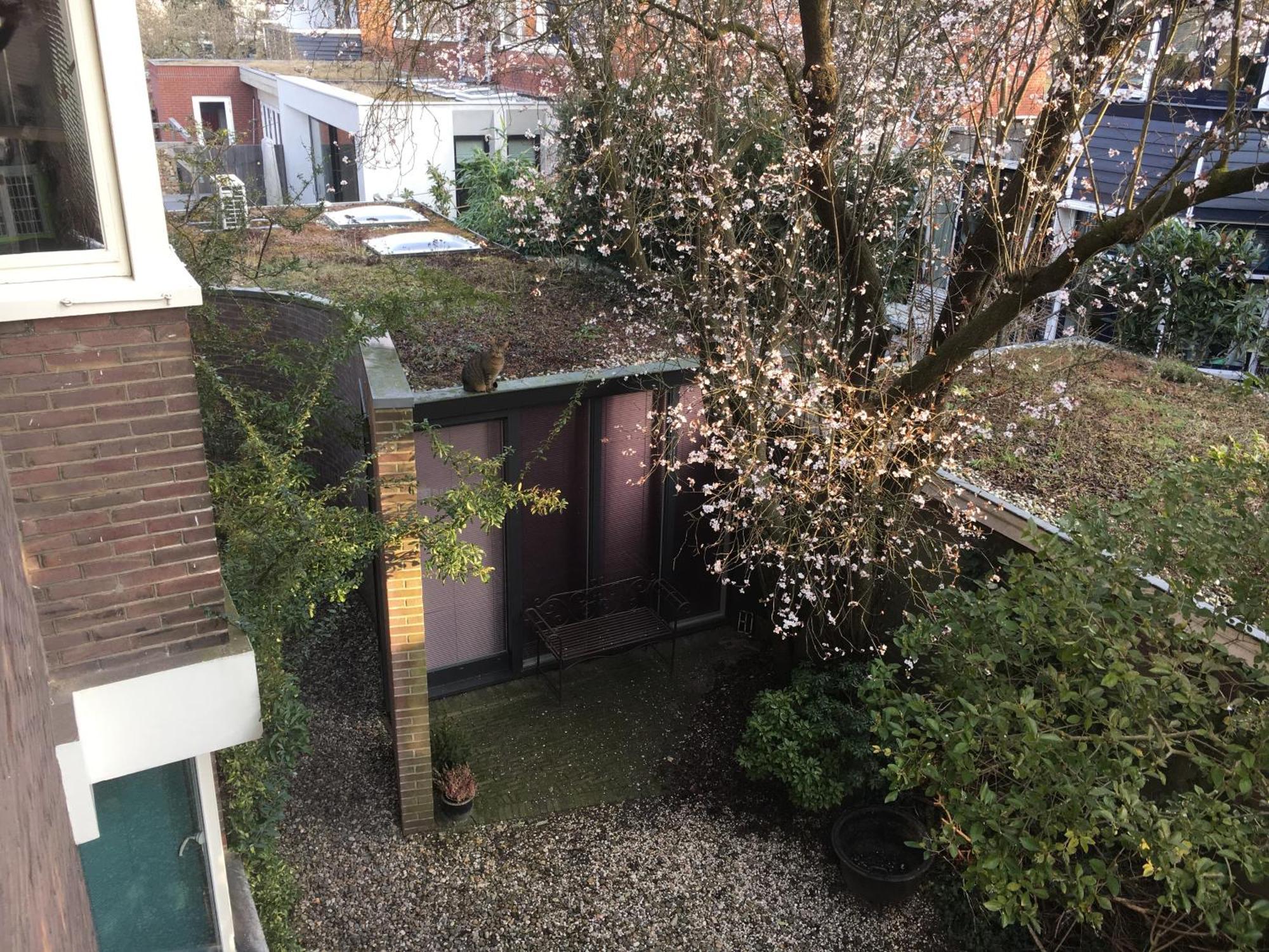 Apartament Bed & Office 050 Groningen Zewnętrze zdjęcie