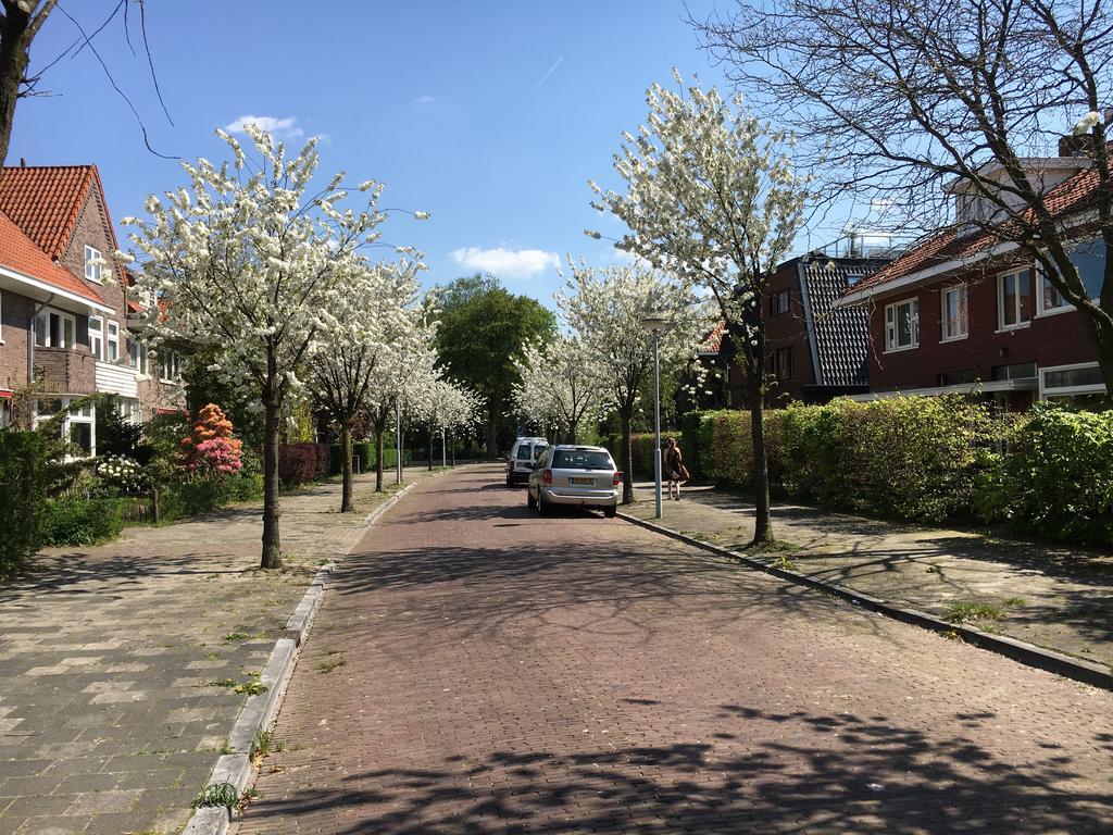 Apartament Bed & Office 050 Groningen Zewnętrze zdjęcie