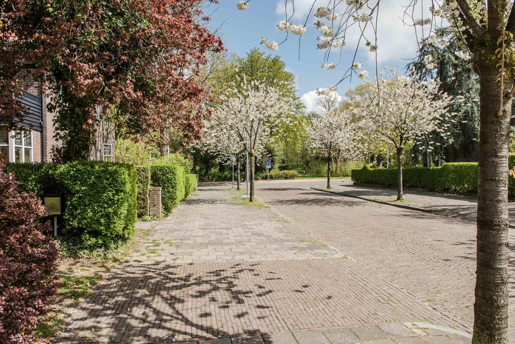 Apartament Bed & Office 050 Groningen Zewnętrze zdjęcie